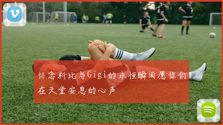 怀念科比与Gigi的永恒瞬间愿你们在天堂安息的心声
