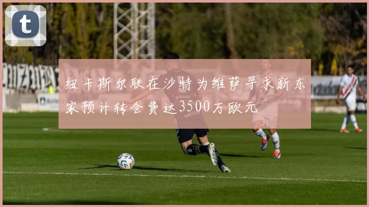 纽卡斯尔联在沙特为维萨寻求新东家预计转会费达3500万欧元